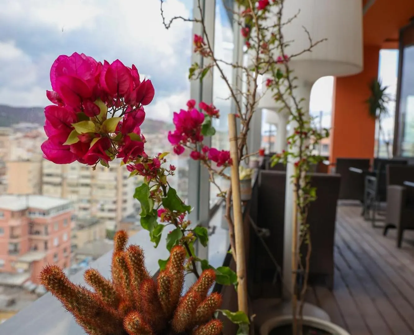 ****  La Boheme Hotel Tiran Arnavutluk